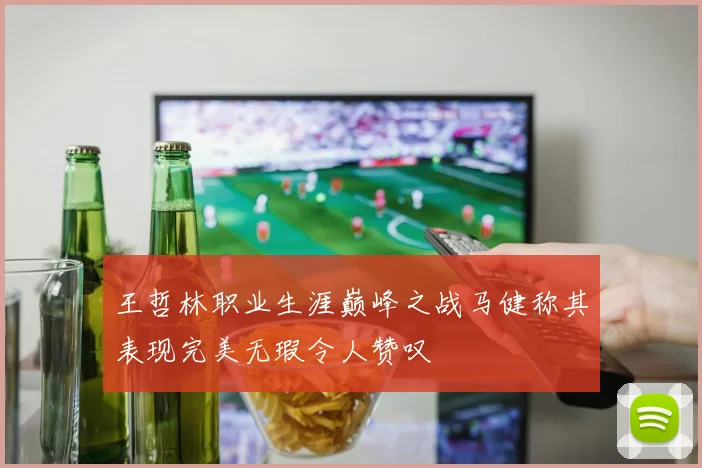 王哲林职业生涯巅峰之战马健称其表现完美无瑕令人赞叹