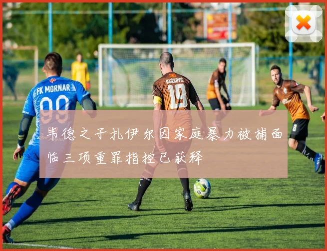 韦德之子扎伊尔因家庭暴力被捕面临三项重罪指控已获释